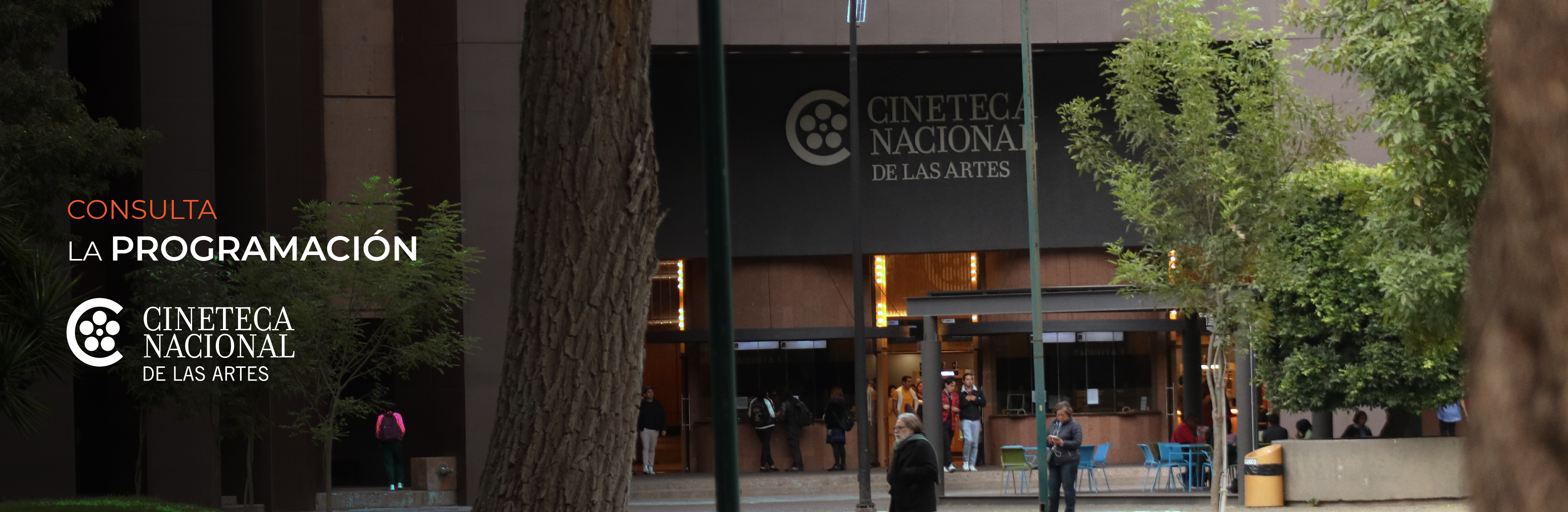 Cartelera Cineteca de las Artes