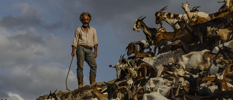 ‘La sombra del Catire’, de Jorge Hernández Aldana: la contención del bandolero