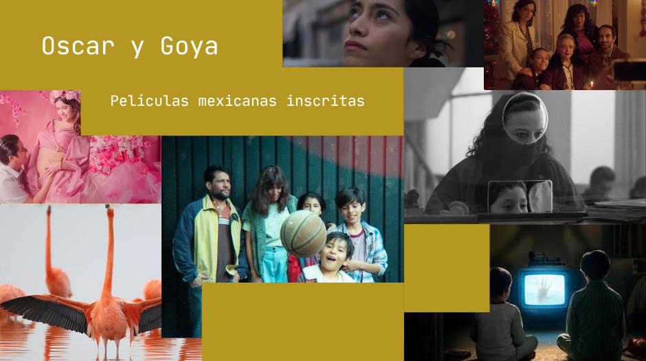 Conoce la lista completa de películas mexicanas inscritas a los Oscar y los Goya