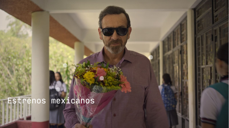 Noticia relacionada