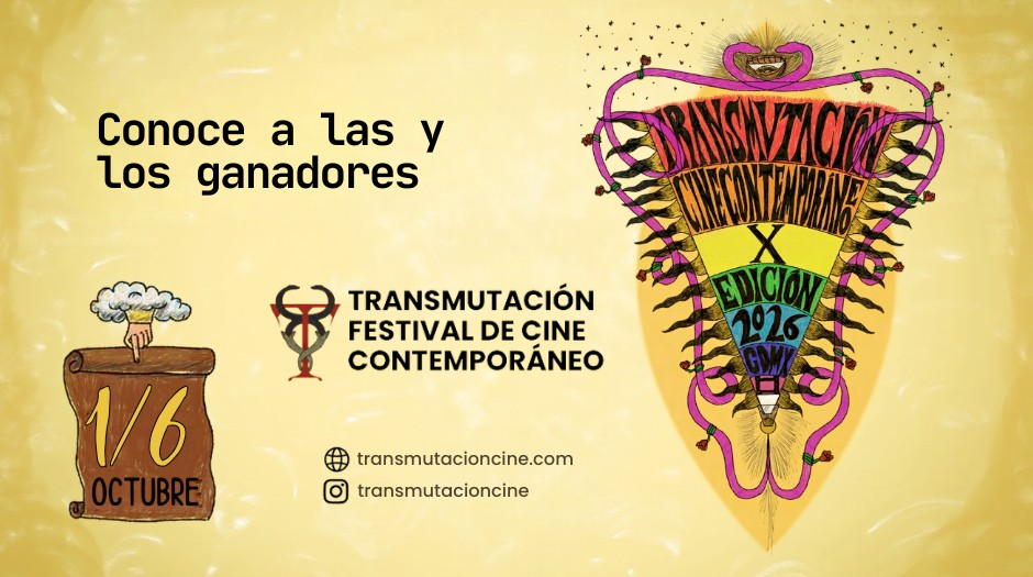 Noticia relacionada