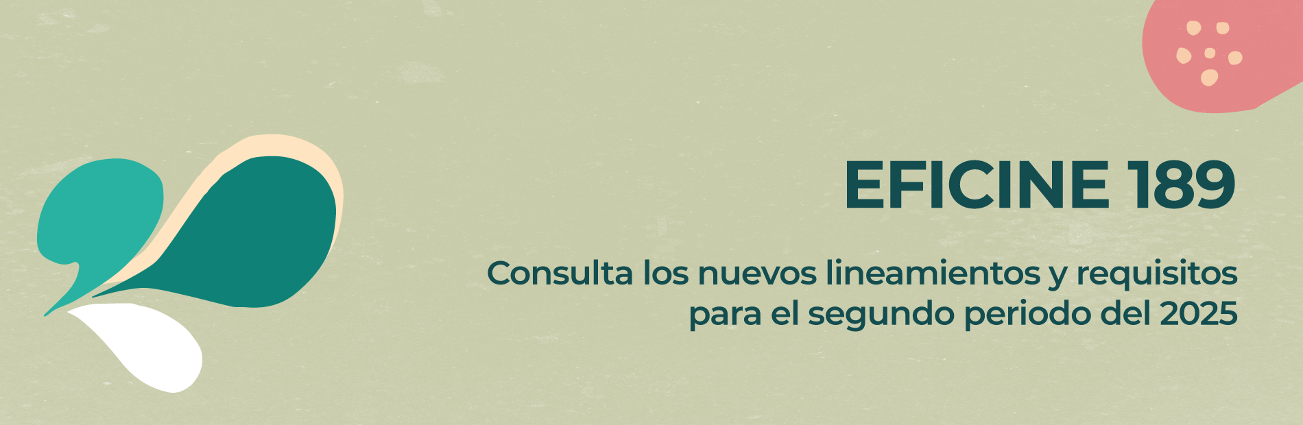 Eficine reglas 2 periodo